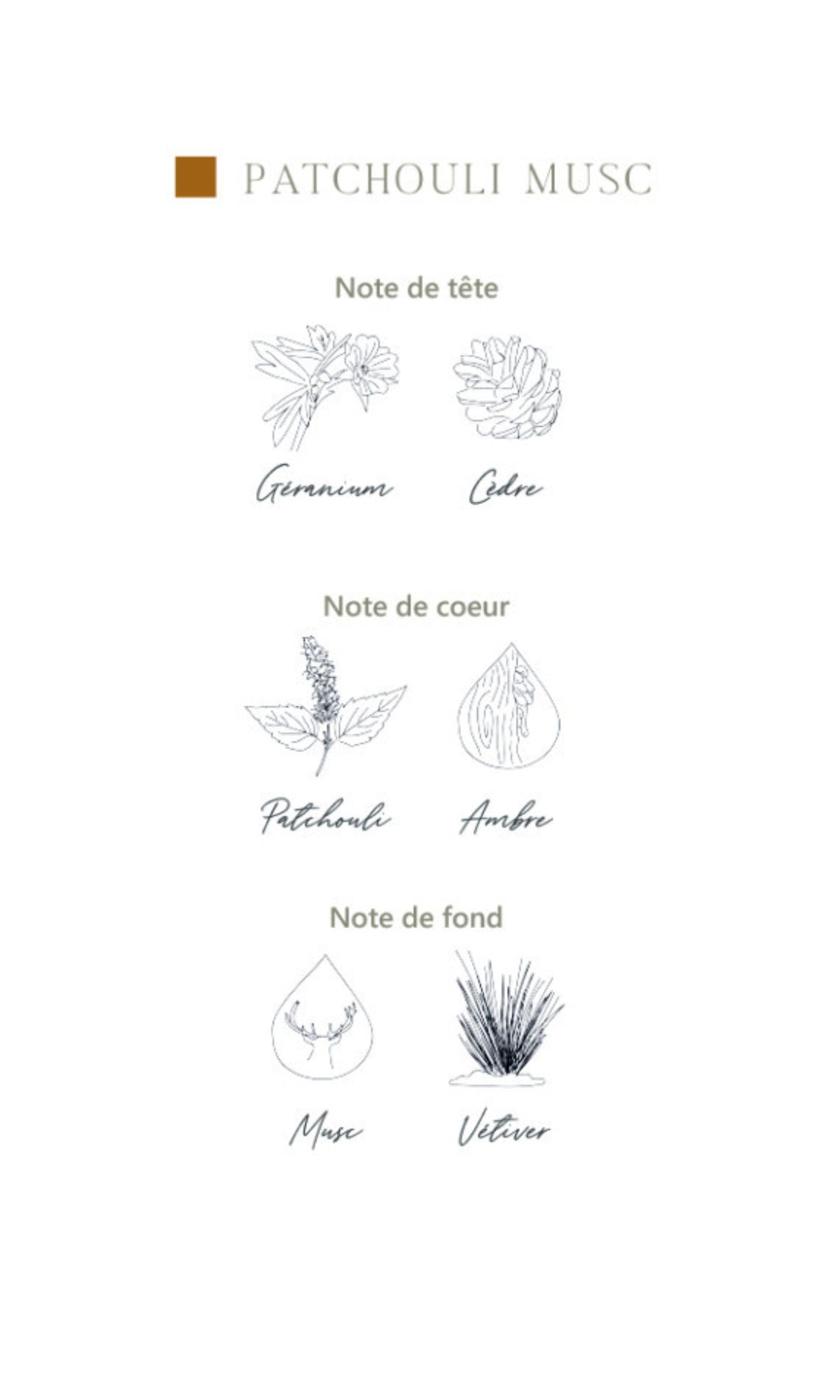 Parfum d'ambiance Patchouli Musc - 100 ml - L'atelier C
