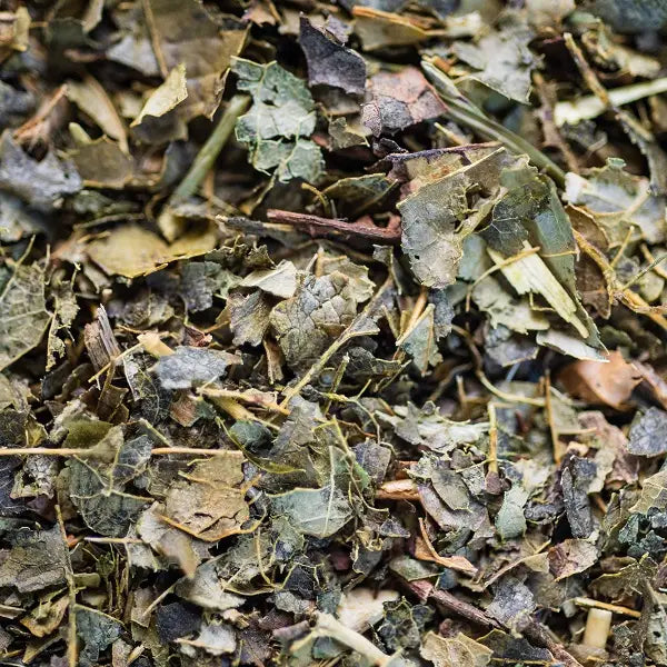 BIO-HAMAMELISBLATT-AUFBEUTEL 25G 