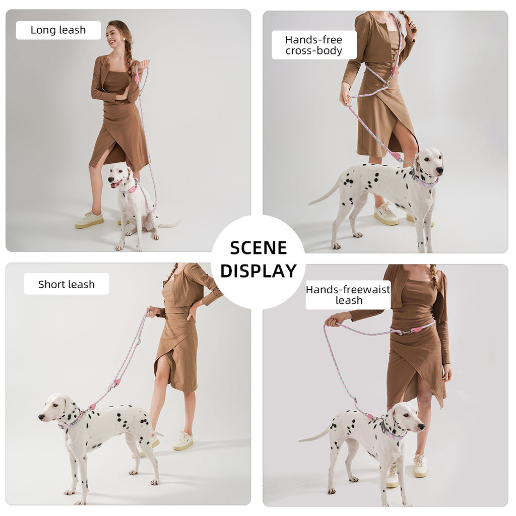 Laisse pour chien double promenade