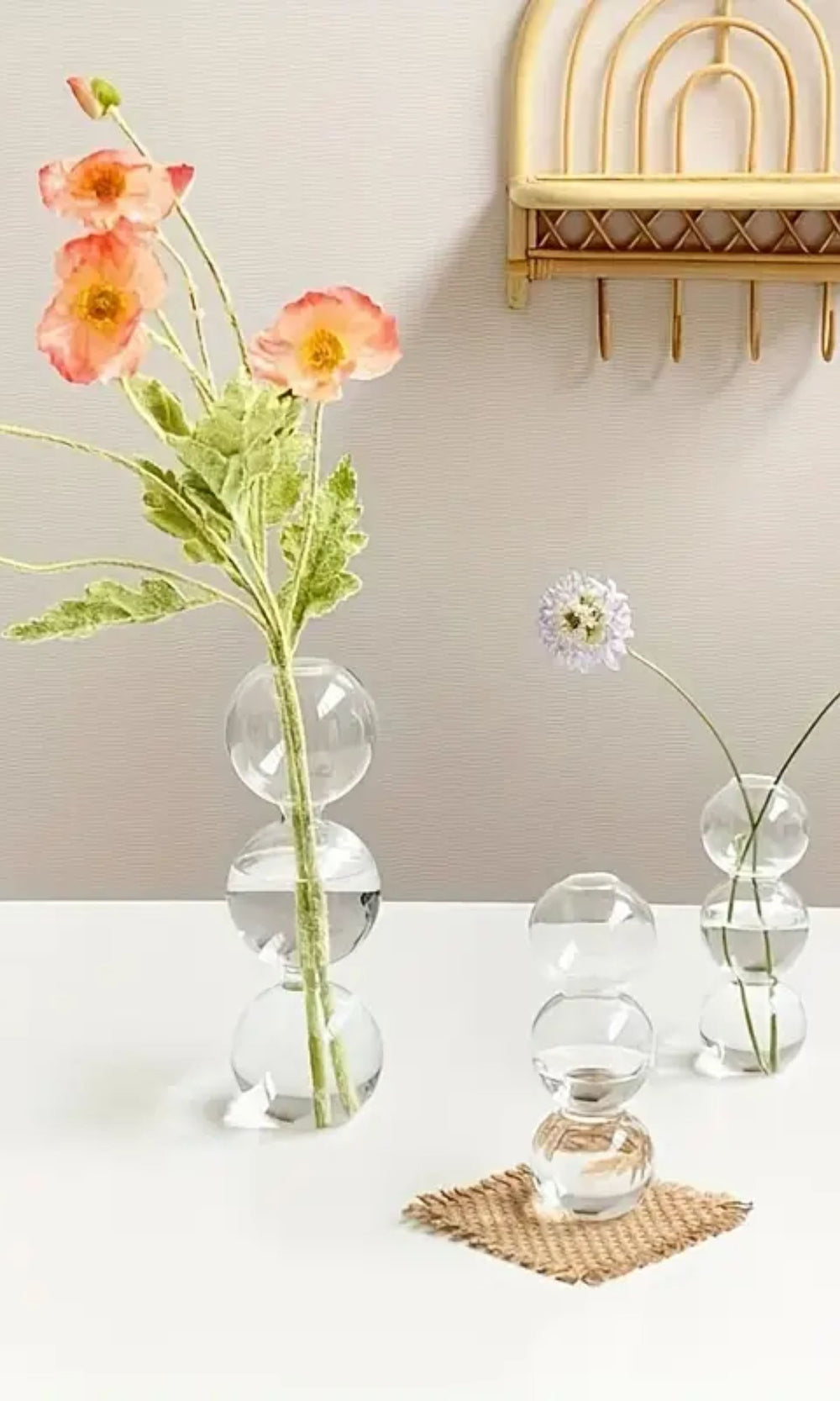 Hydroponische Blumenvase aus Glas
