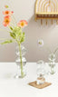 Hydroponic Glass Floral Vase