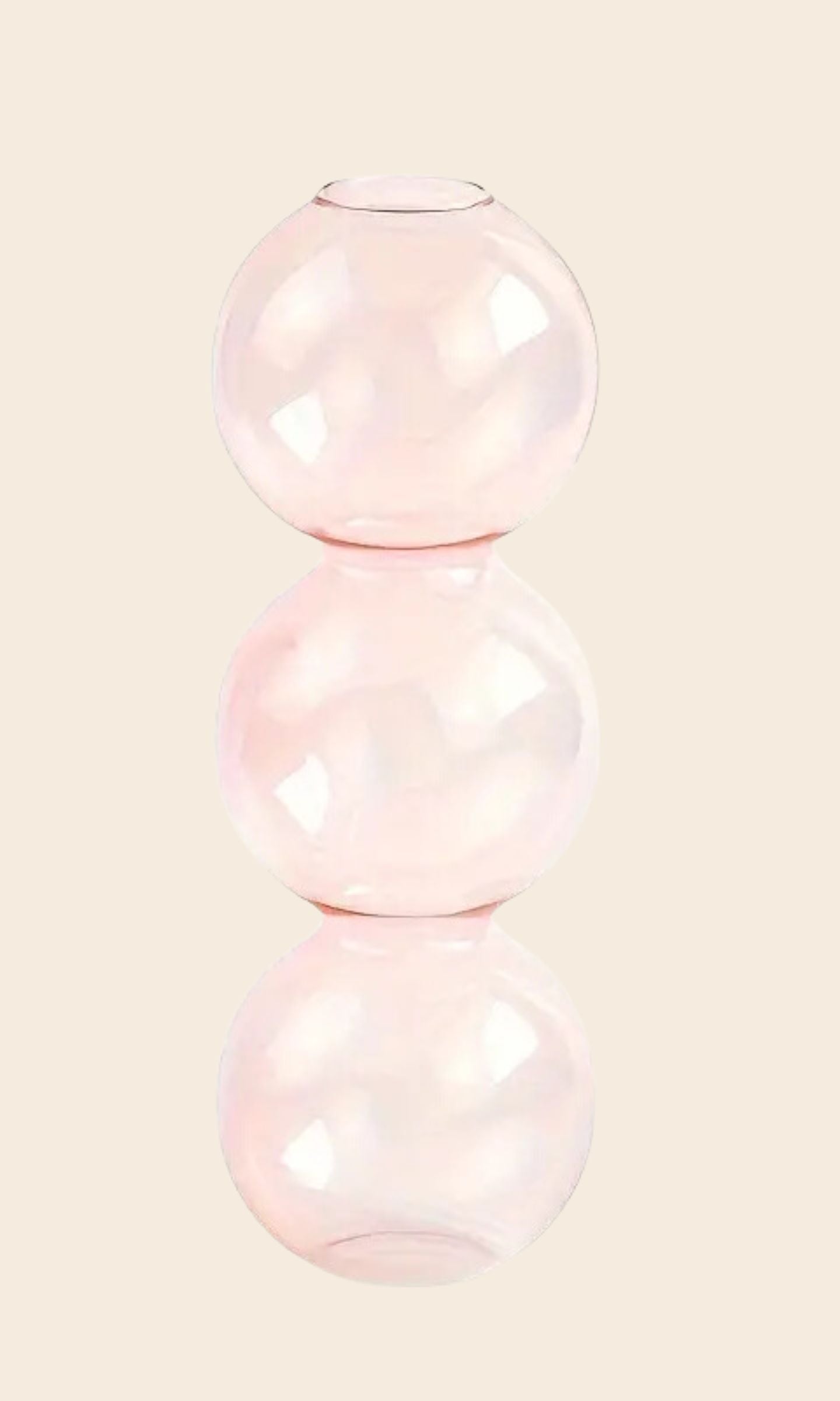 Vase Floral Hydroponique en Verre