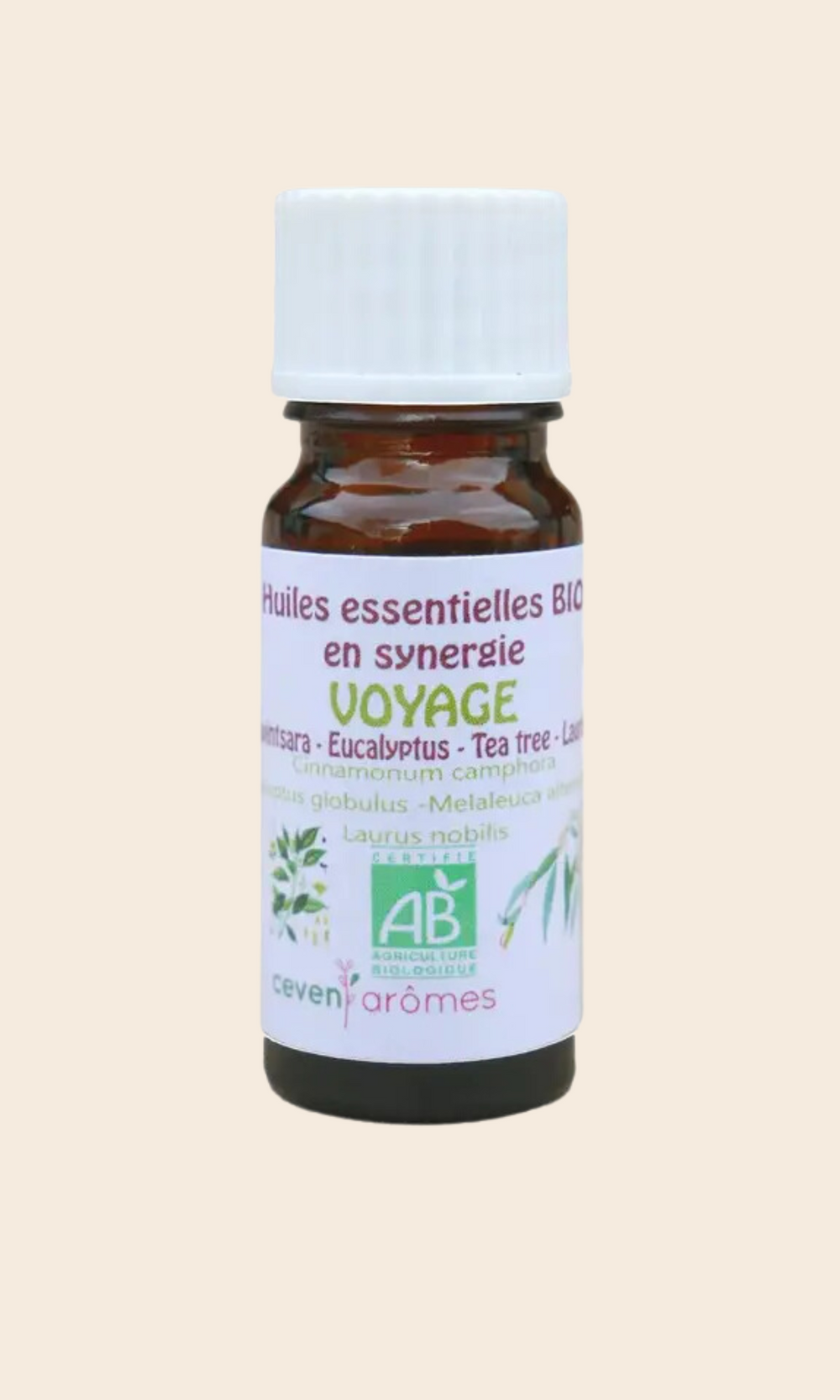 Synergie BIO Ravintsara Eucalyptus Tea Tree Laurier - Céven’Arômes