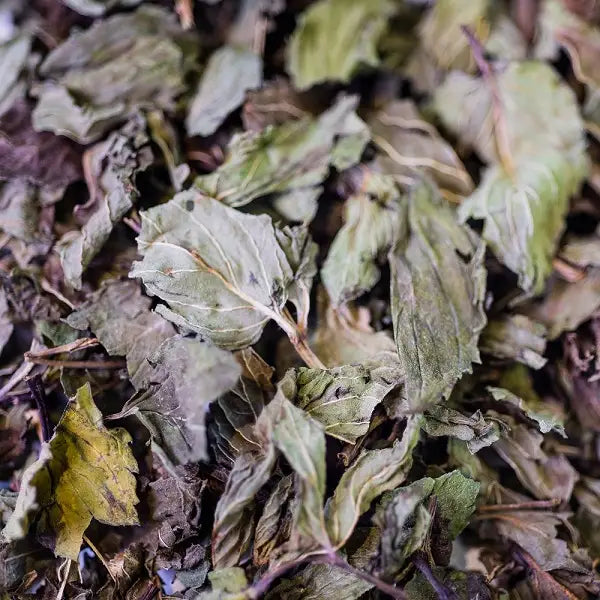 ORGANIC PEPPERMINT INFUSION LEAF MAXI PACK FRANCE 50G / 200G