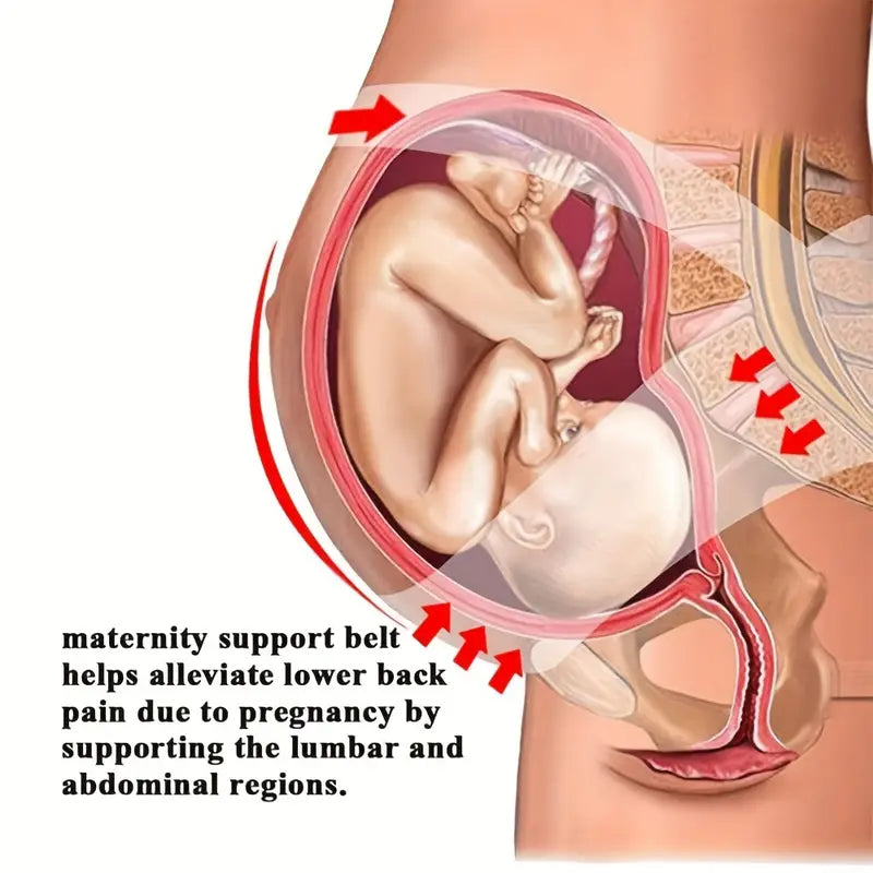 Ceinture de Soutien Abdominal pour Femmes Enceintes