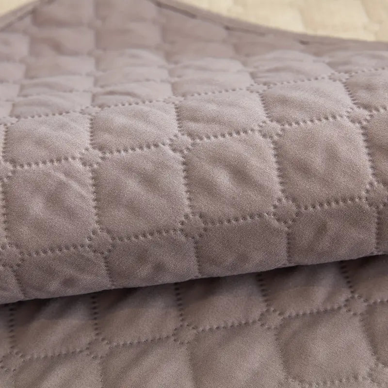 Housse de Canapé Antidérapante pour Animaux