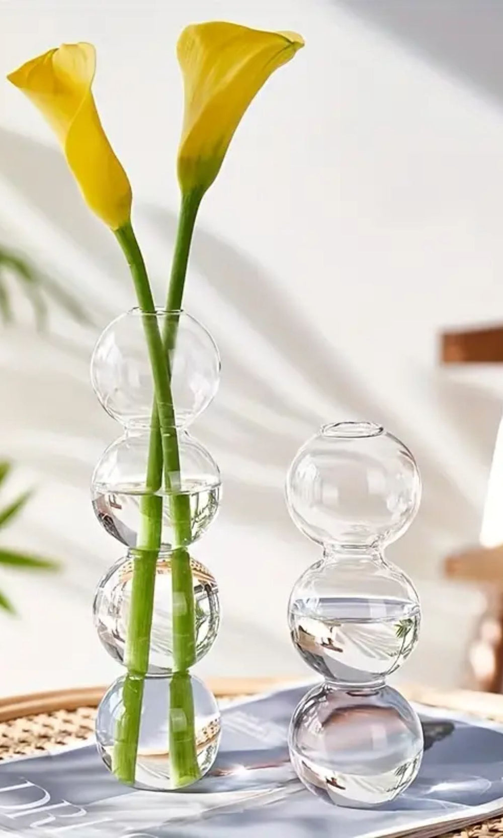 Hydroponische Blumenvase aus Glas