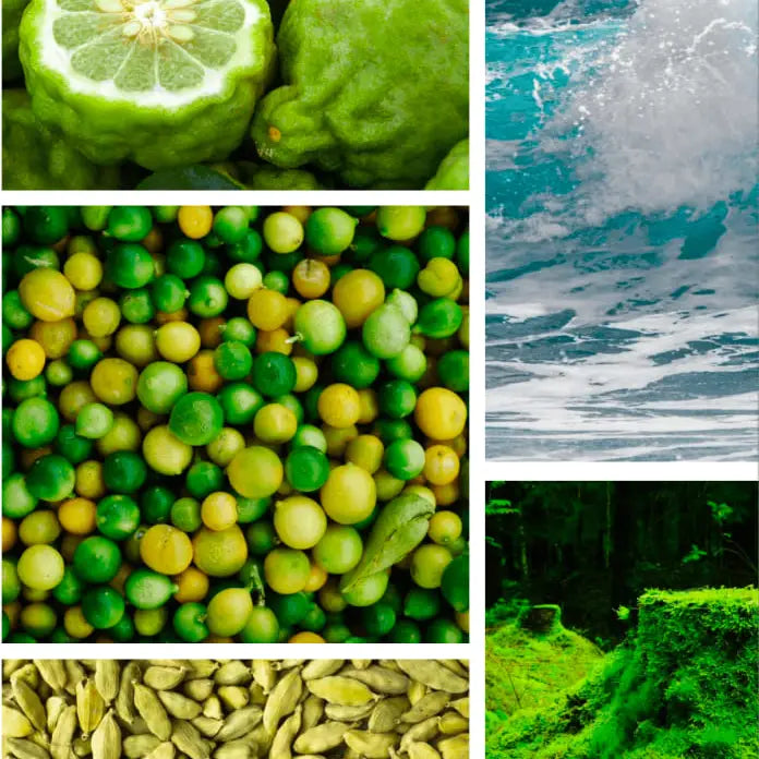 Extrait de Parfum Nice -  Preparfumer