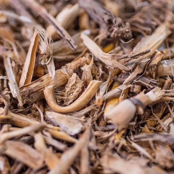 INFUSION CHIENDENT BIO RACINE 30G