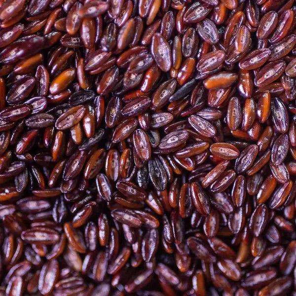 INFUSION PSYLLIUM BIO SEMENCE 100G