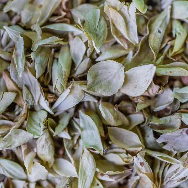 ORGANIC OREGANO LEAF INFUSION 40G