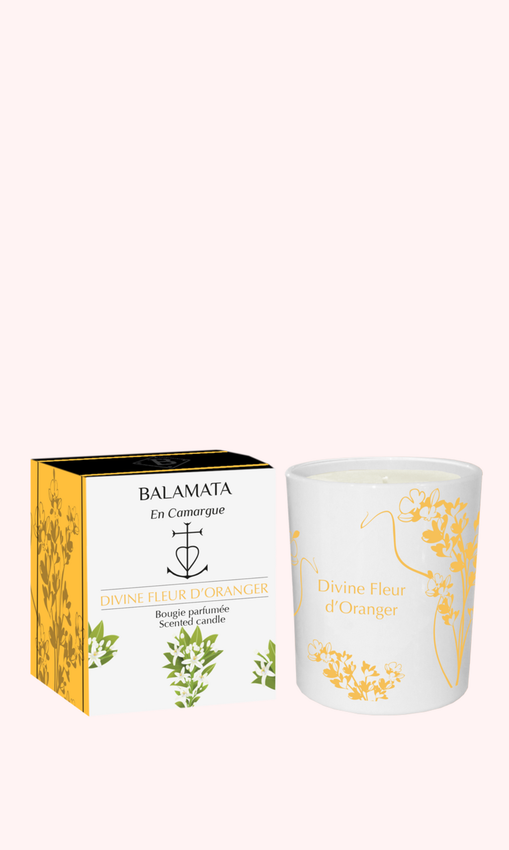 Divine Orange Blossom Scented Candle 200g - Balamata