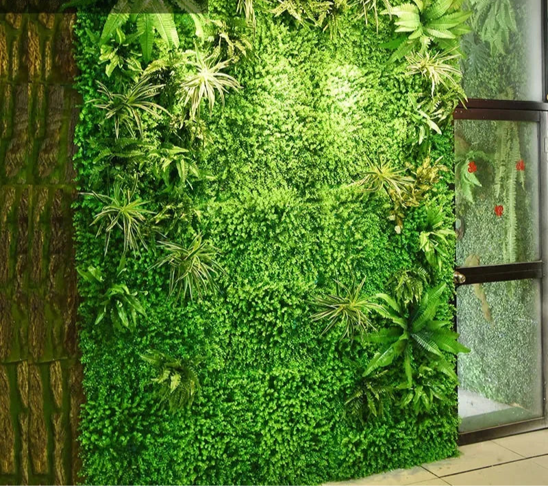 Plantes Murales Décoratives