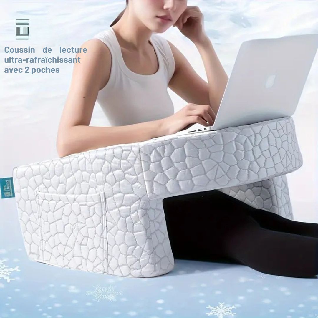 Oreiller de Lecture Extra Large avec Accoudoirs – Soutien Ergonomique