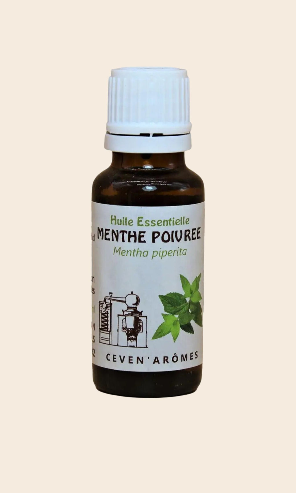 Huile essentielle bio de menthe poivrée 10 ml - Céven’Arômes