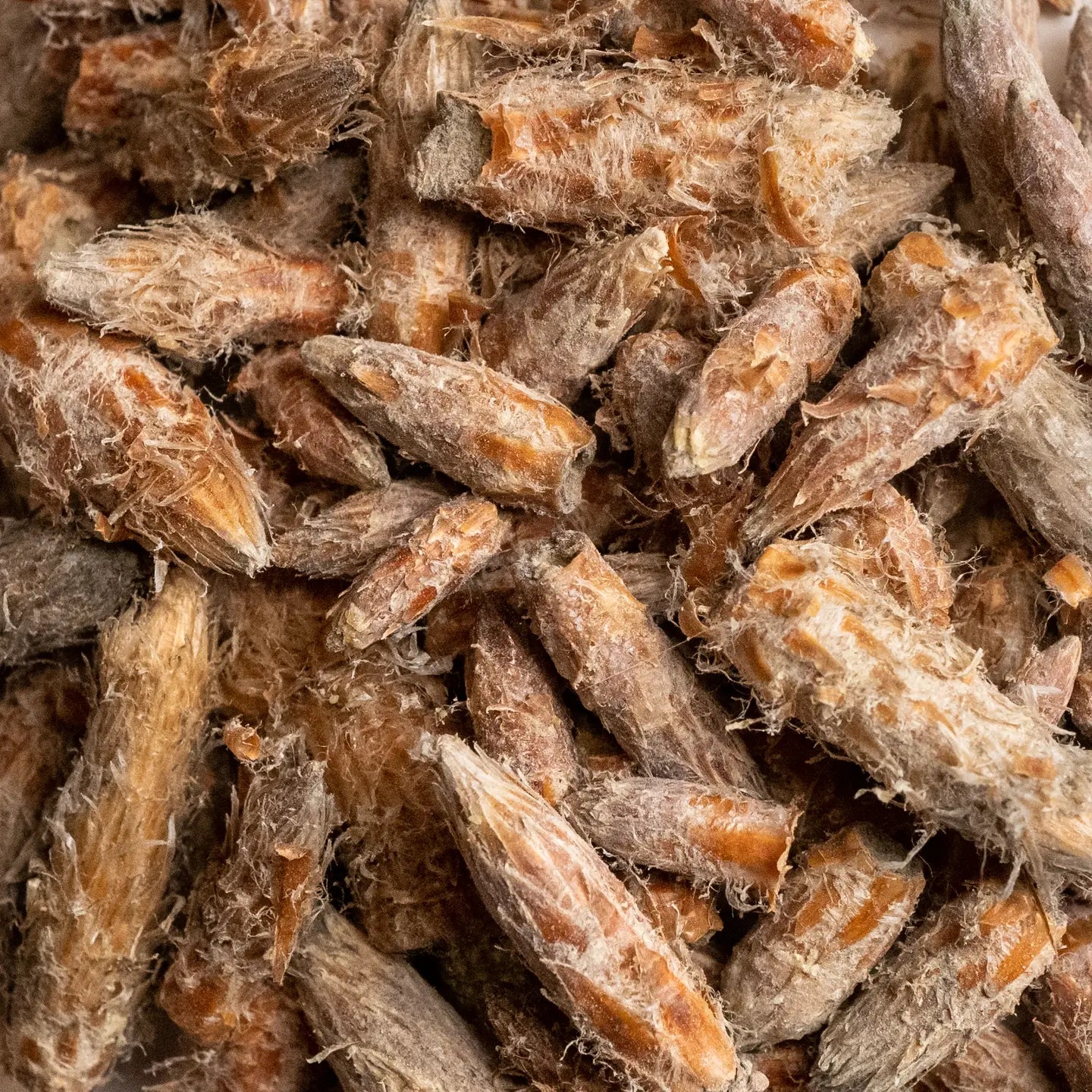 INFUSION PIN SYLVESTRE BIO BOURGEON 25G