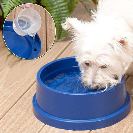 Gamelle Rafraichissante pour Grand Chien