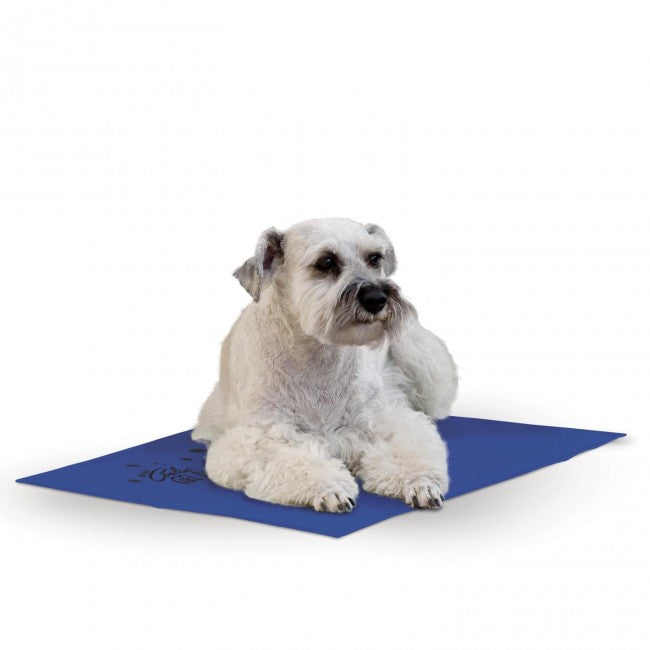 Coussin de voyage rafraîchissant pour chien