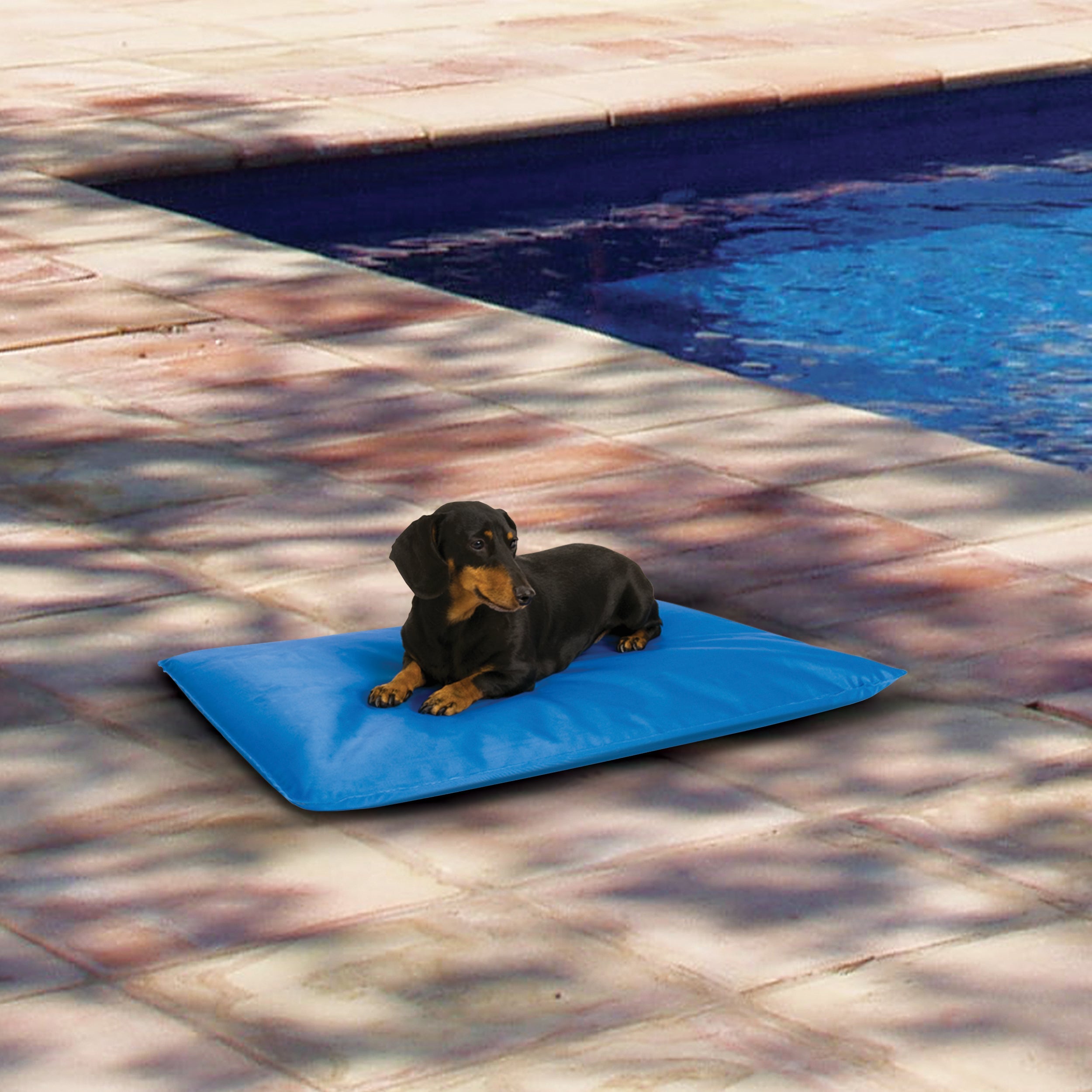 Tapis rafraîchissant pour chien Cool Bed III