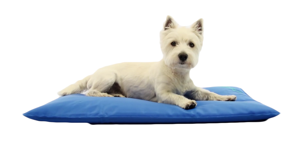 Tapis rafraîchissant pour chien Cool Bed III