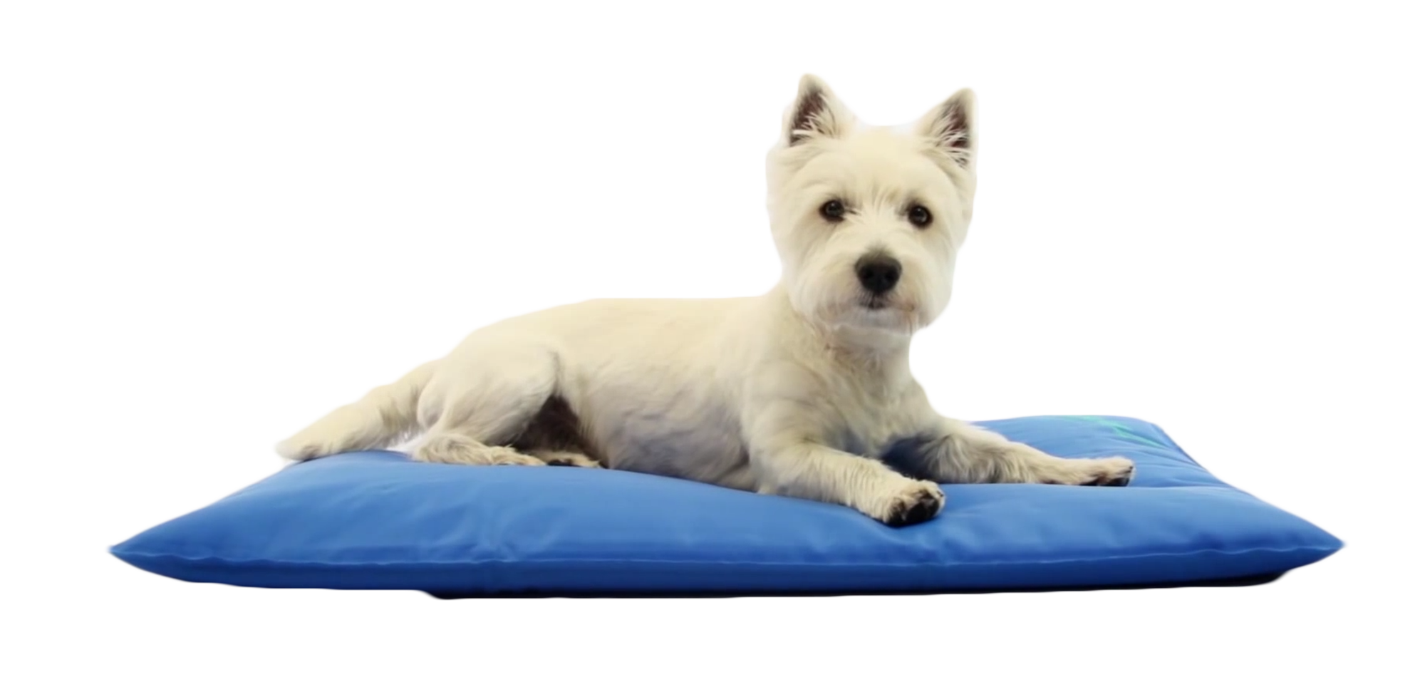 Tapis rafraîchissant pour chien Cool Bed III