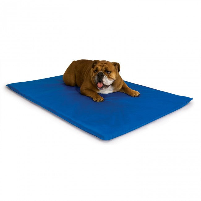 Tapis rafraîchissant pour chien Cool Bed III