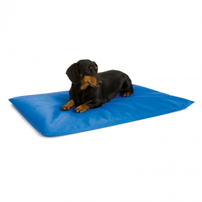 Tapis rafraîchissant pour chien Cool Bed III
