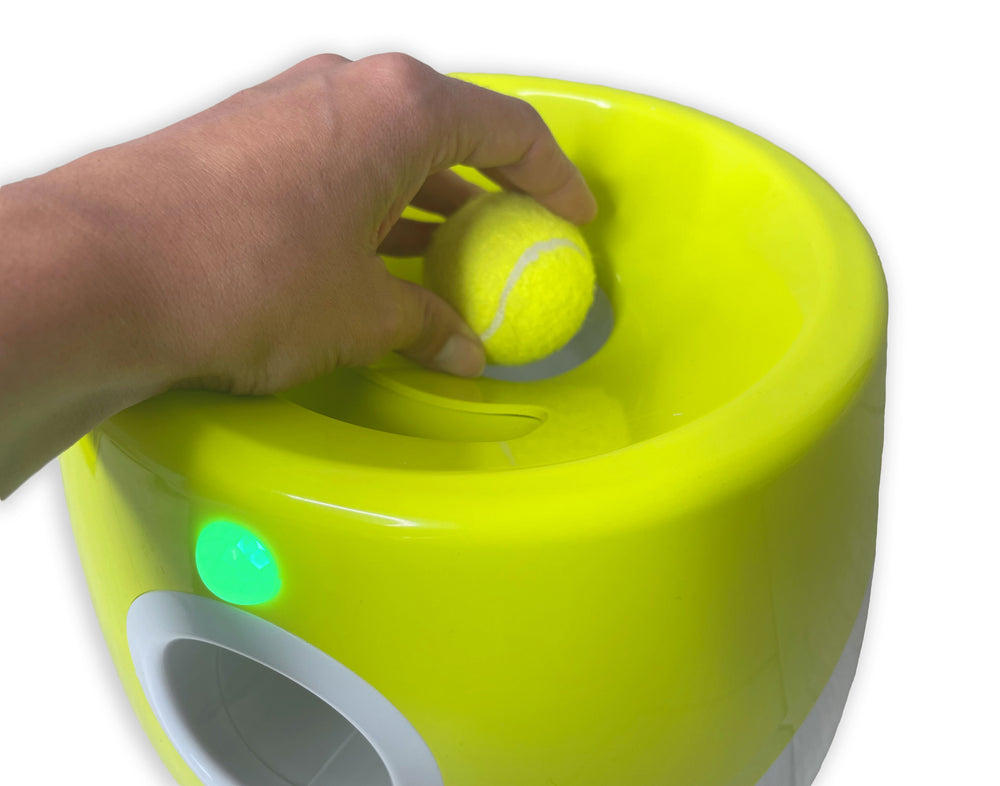 Automatischer Ballwerfer für Hunde