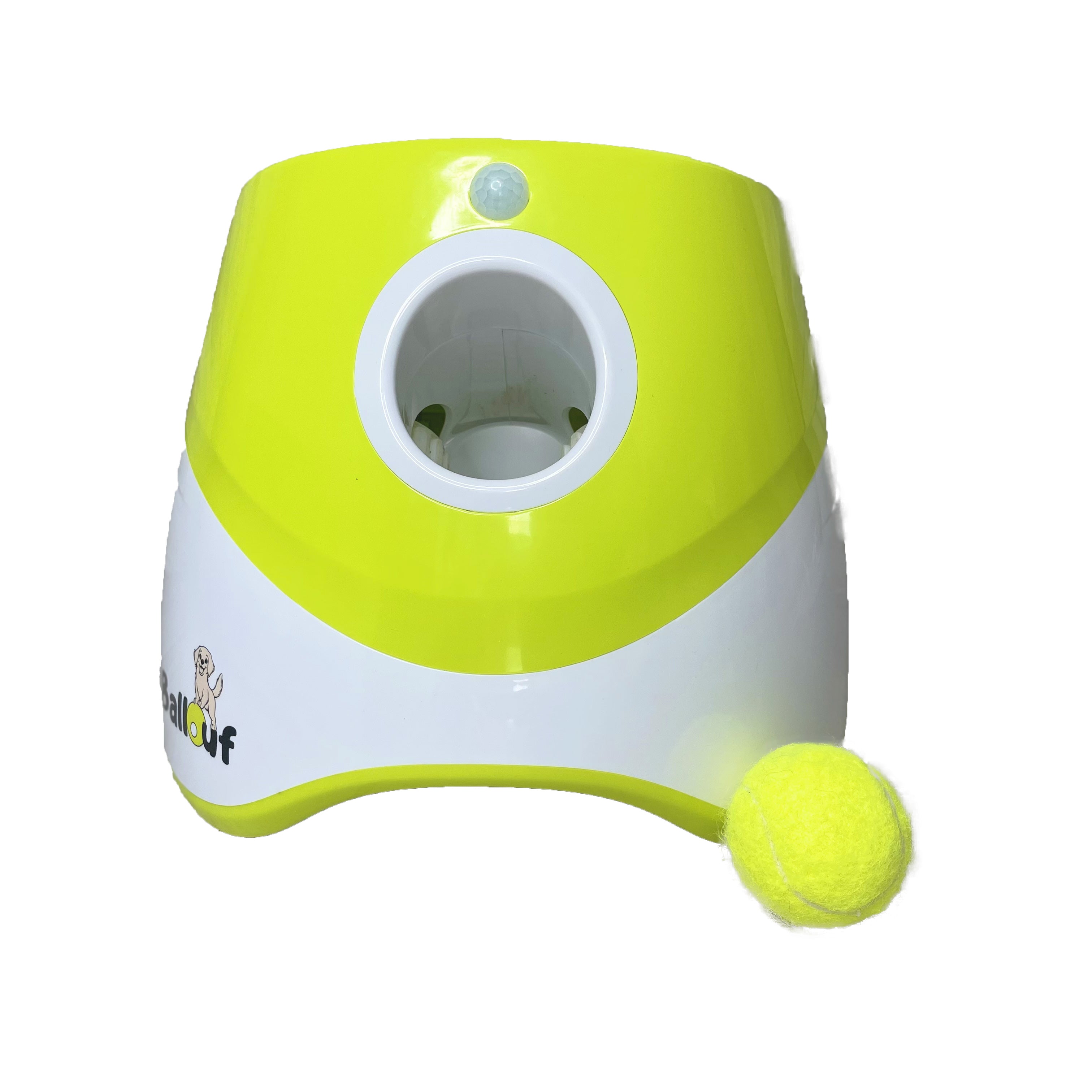 Lanceur de balles automatique pour chien