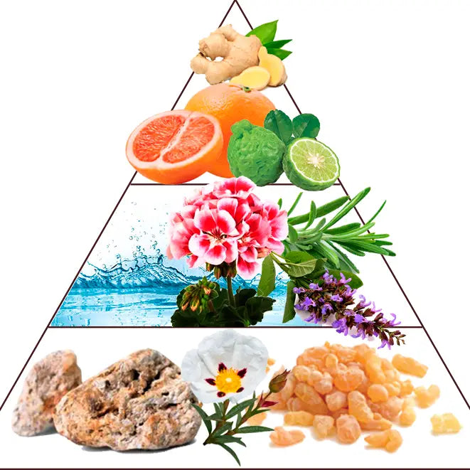 Parfum Monte-Carlo - Preparfumer