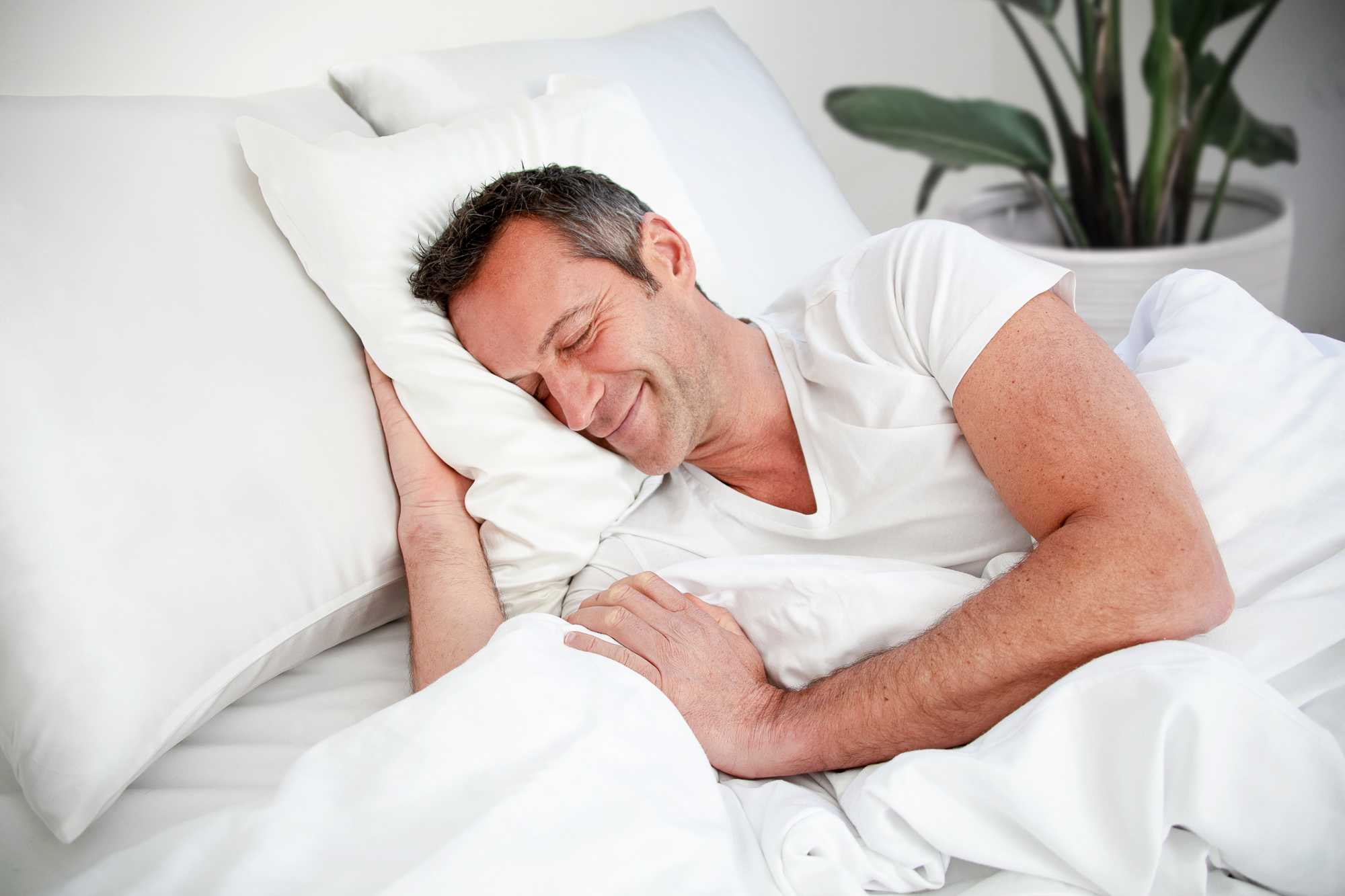 Taie d’oreiller en soie Climsom Silk