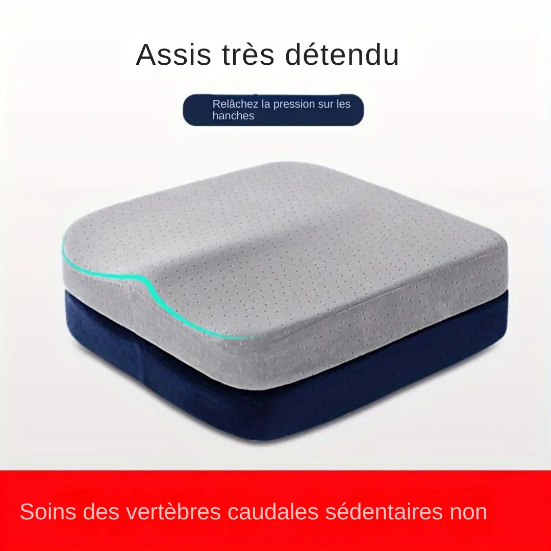 Coussin ergonomique en mousse – Soutien Lombaire pour Bureau & Voiture