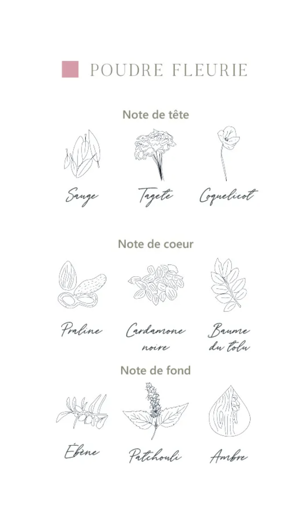 Brume de linge Poudre fleurie 200 ml - L'Atelier C