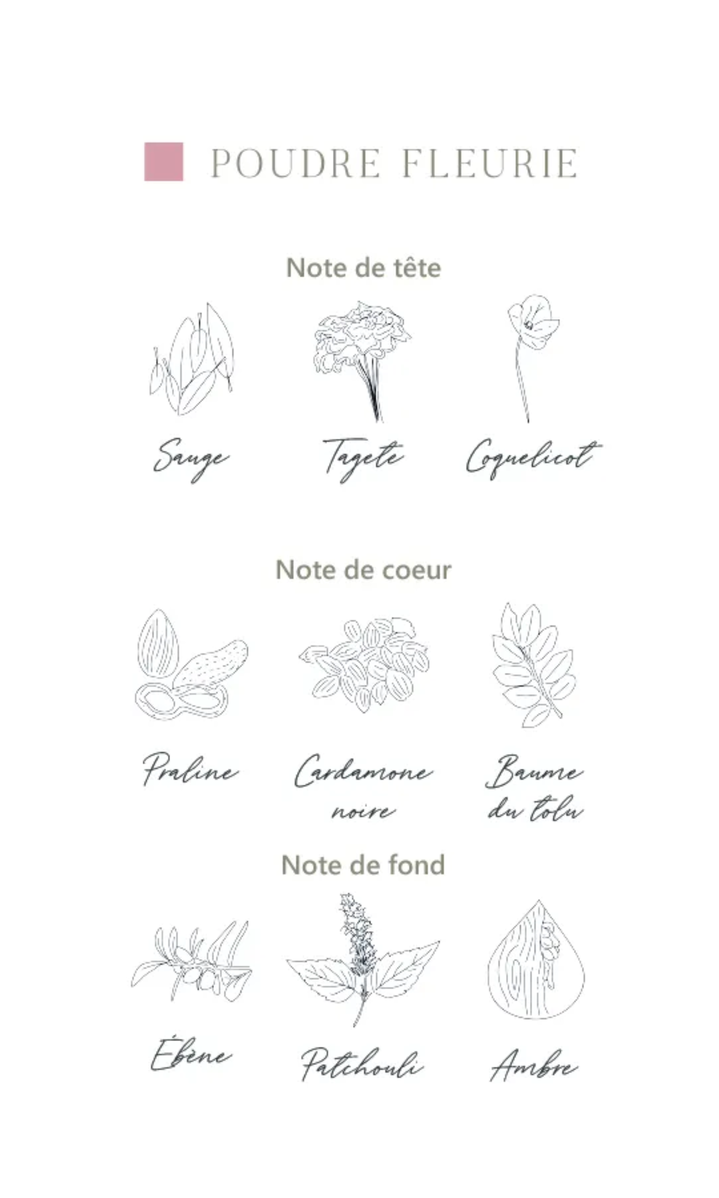 Brume de linge Poudre fleurie 200 ml - L'Atelier C