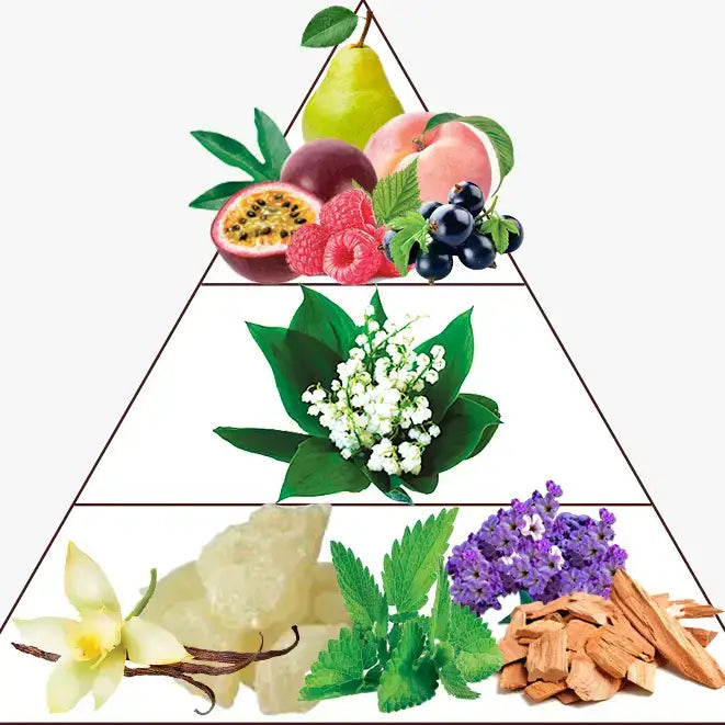 Parfum Fruity Musk 16 ml avec boîte – Preparfumer