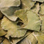 Infusion ginko bilboa feuilles France - 40G