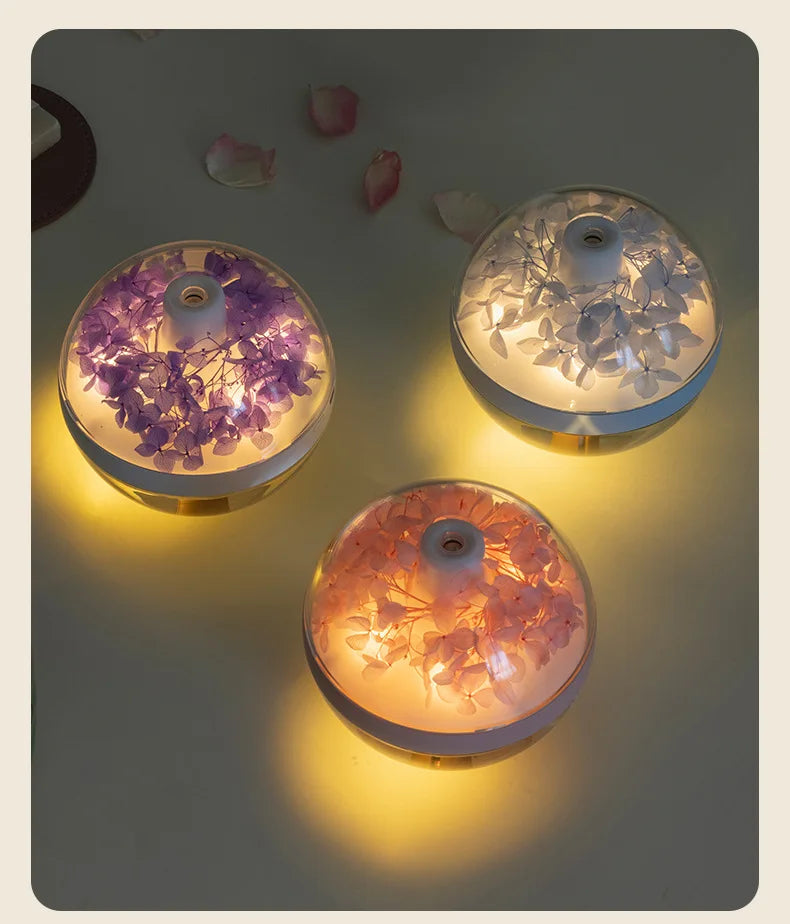 Humidificateur d'Air Rechargeable