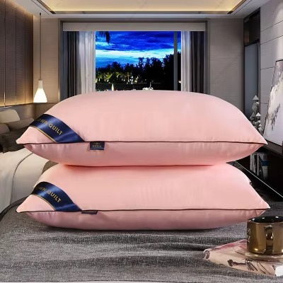 Oreiller en Soie J – Literie de Luxe