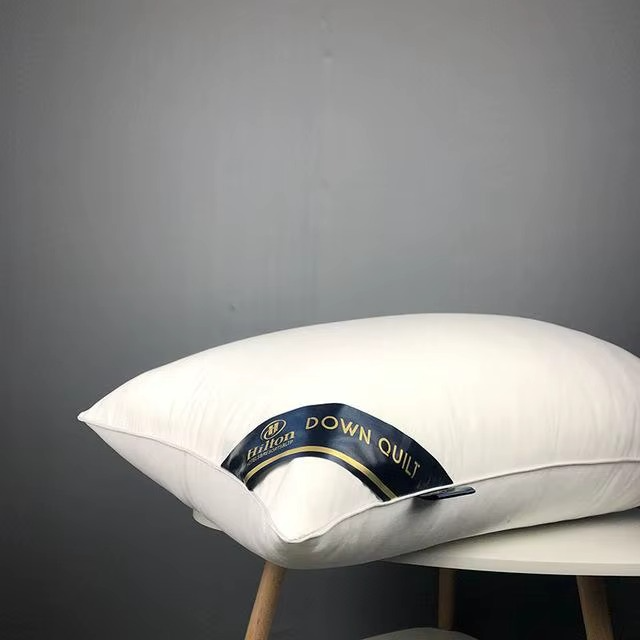 Oreiller en soie de mûrier