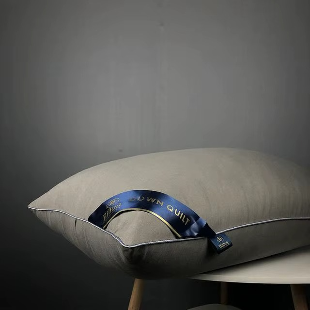 Oreiller Orthopédique en Soie Naturelle – Le Luxe d’un Sommeil Royal