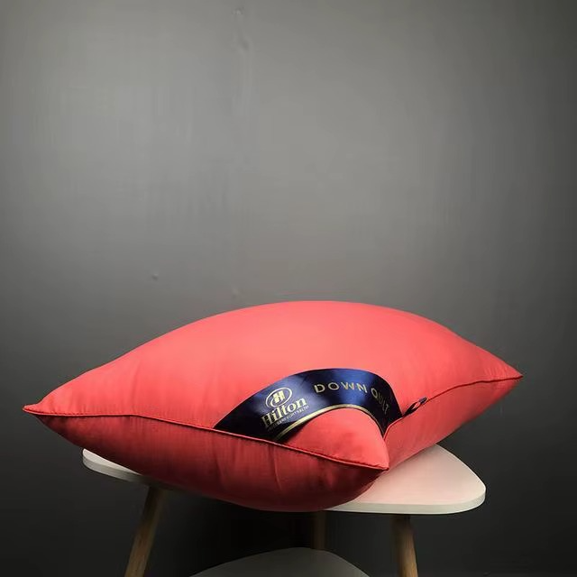 Oreiller Orthopédique en Soie Naturelle – Le Luxe d’un Sommeil Royal