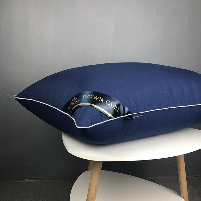 Oreiller Orthopédique en Soie Naturelle – Le Luxe d’un Sommeil Royal