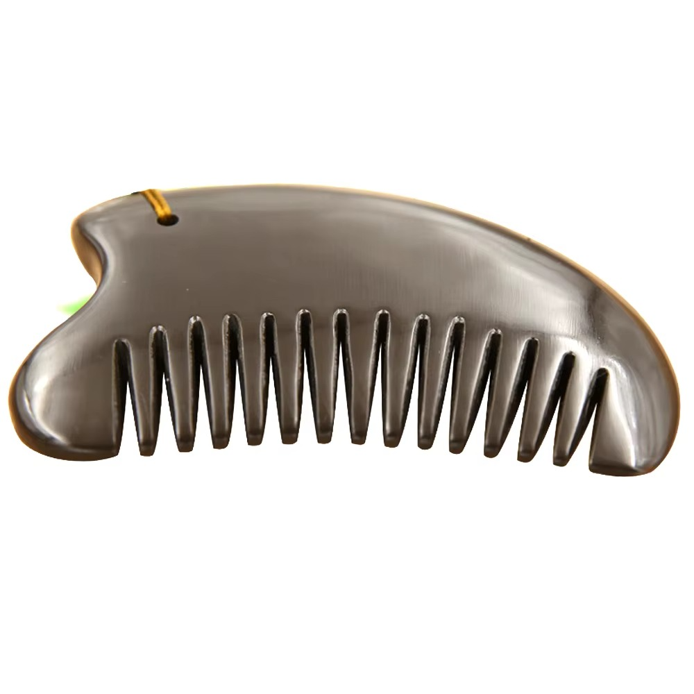 Pierre de Guasha Multifonction