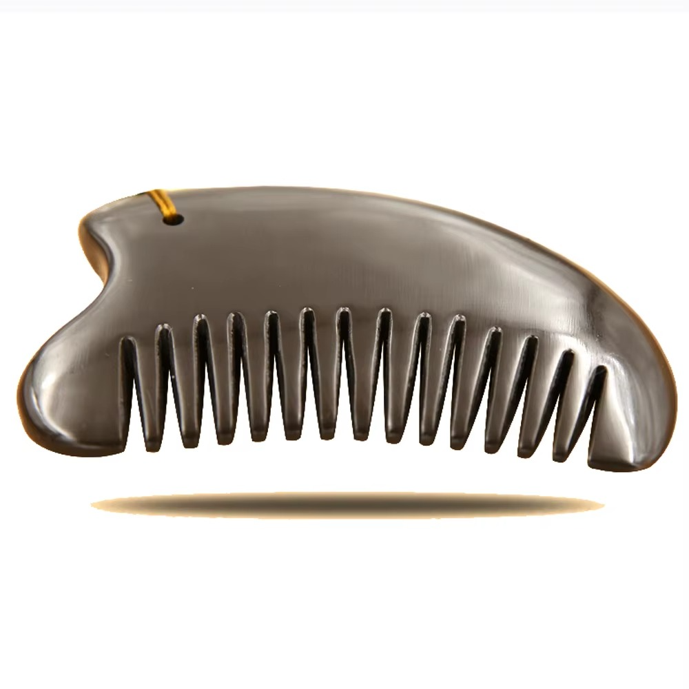 Pierre de Guasha Multifonction