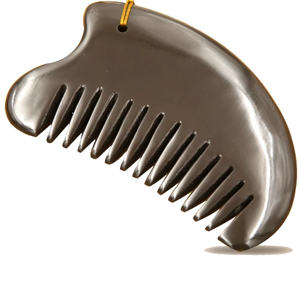 Pierre de Guasha Multifonction