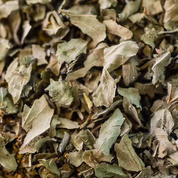 Bio-Alchemilla-Aufguss, Luftteil, 30 g – Eine Pflanze mit tausendjährigen und ausgleichenden Eigenschaften 