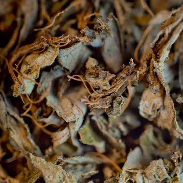 Organic Artichoke Leaf Infusion France 40g – A Detoxifying and Digestive Infusion 