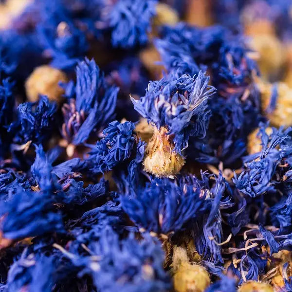 Infusion Bleuet Bio Fleur France 20 g – Comptoir d’Herboristerie