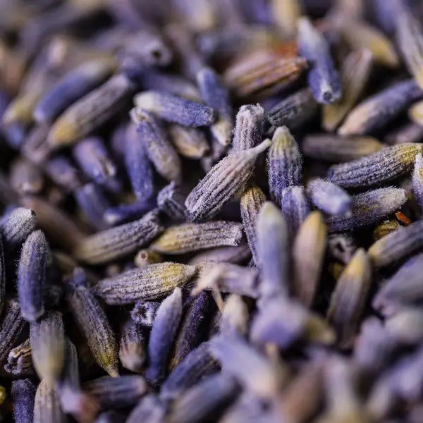 Infusion Lavandin Bio Fleur France 50g – Une Infusion Florale et Apaisante