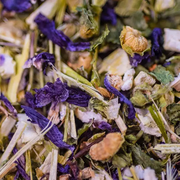 Organic Mallow Infusion Flowering Top 30g – A Soothing and Softening Infusion 